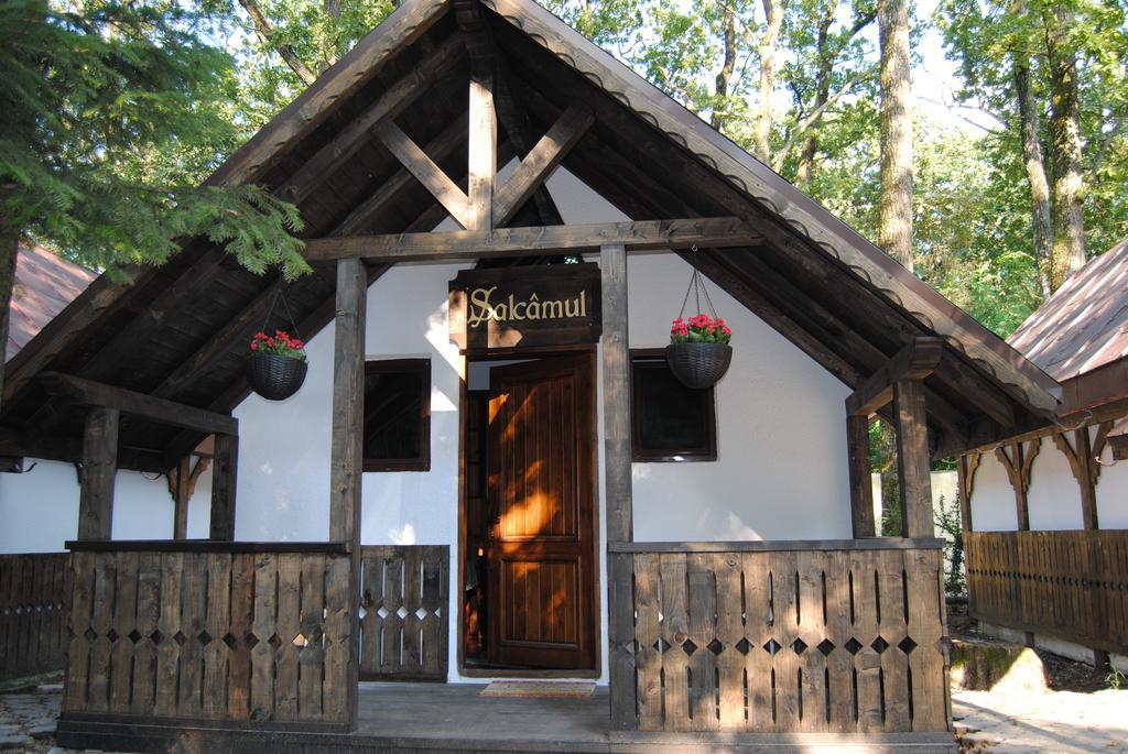 Cornul Vanatorului Bungalows Piteşti Rom bilde